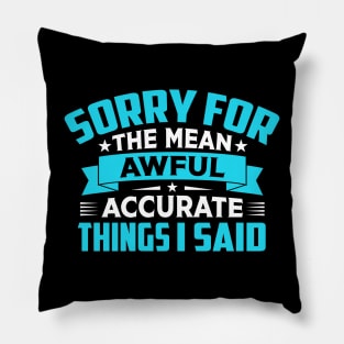 sorry for the mean awful accurate things i said Pillow