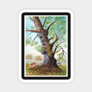 Craggy Burled Gumtree - Watercolour Magnet