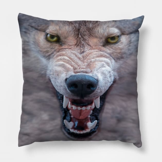 Big Bad Wolf Face Growl Pillow by Alema Art