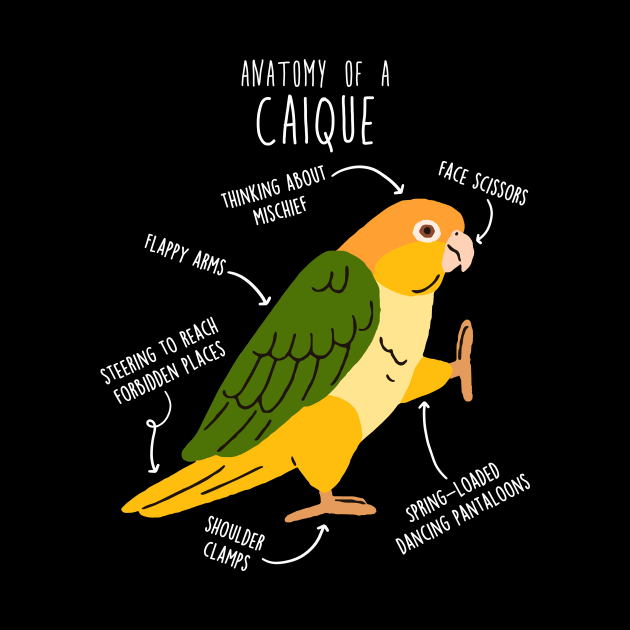 White-bellied Caique Parrot Anatomy by Psitta