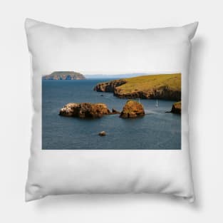 Channel Islands National Park Santa Cruz Island Pillow