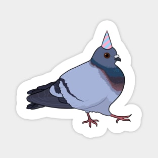 Birthday Pigeon Magnet