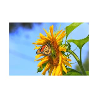 Monarch Butterfly closeup on a yellow Kansas Sunflower. T-Shirt