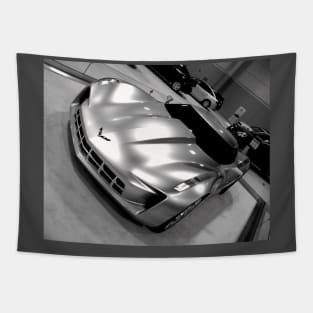 Stingray Concept Tapestry