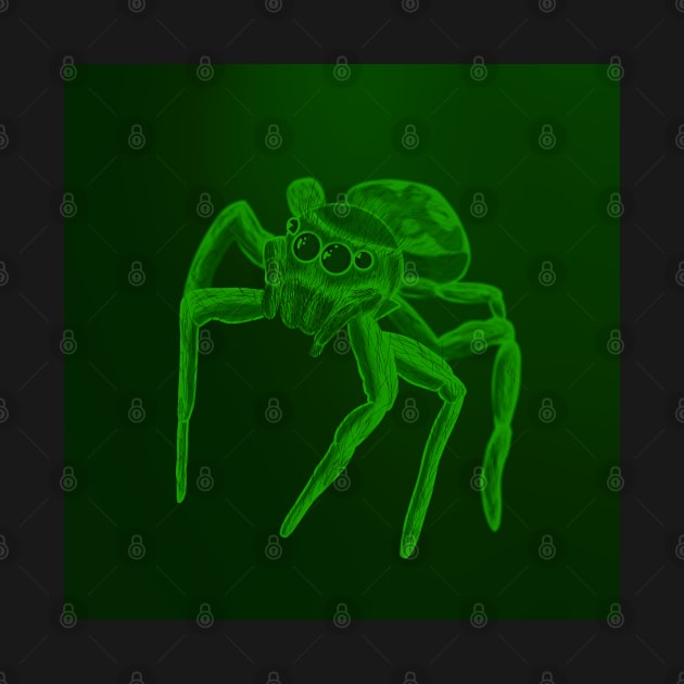 Jumping Spider Drawing V20 (Green 2) by IgorAndMore