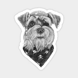 Pirate Schnauzer Magnet