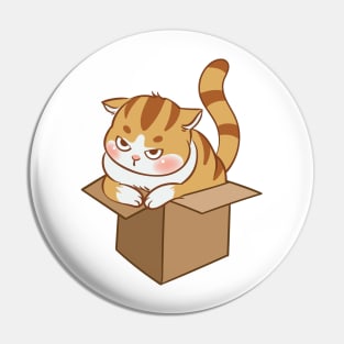 Orange cat in the box Pin