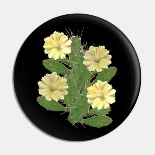 Cactus - cactus flower - flower - flora in Africa Pin