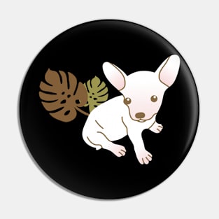 Chihuahua and plant Pin