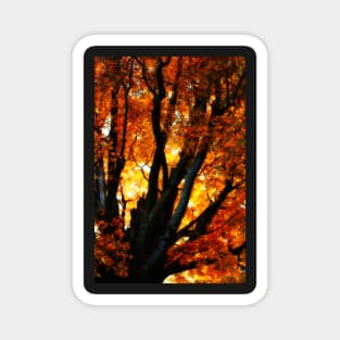 Autumn Elegy Magnet