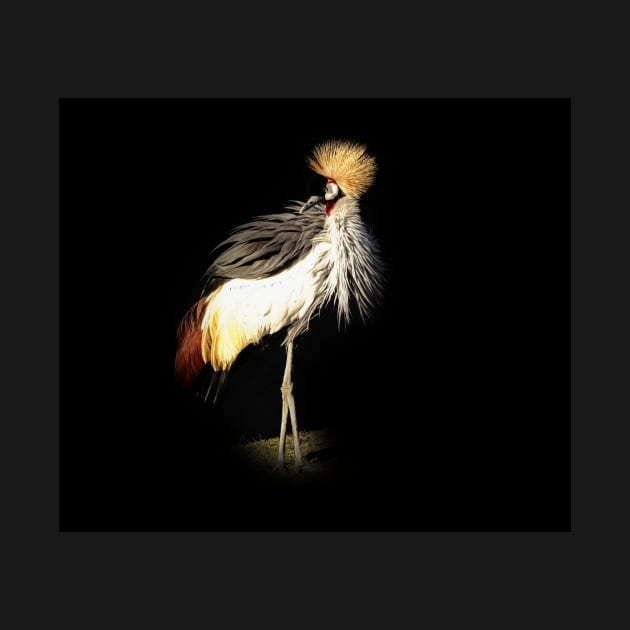 Grey crowned crane by Guardi