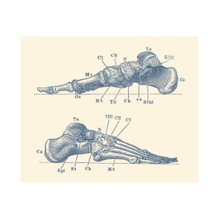Skeletal Foot Diagram - Dual View - Anatomy Print T-Shirt