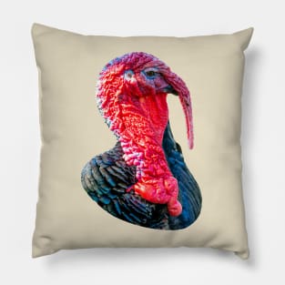 Tom Turkey Pillow