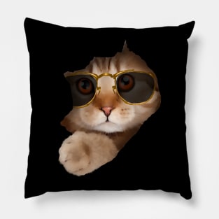 Funny Cat ripping through, Cat Lover Pillow