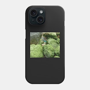 Green rocks. Phone Case