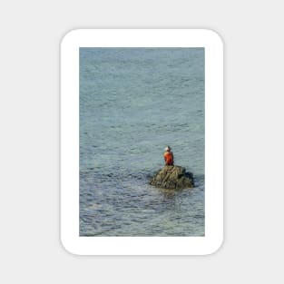 Angler on a Rock Magnet