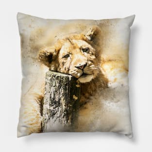 Lion Lion Cub Wild Animal Safari Africa Jungle Pillow