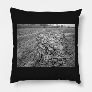 Ancient stone wall in a historical Roman camp in rural Norfolk, UK Pillow