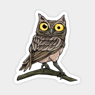 Suspicious Owlet Magnet