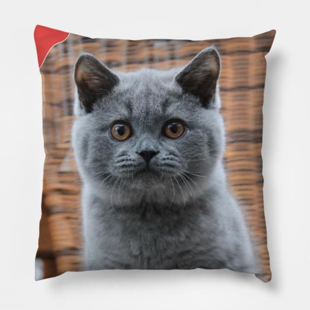 the blue chubby cute cats Pillow by kunasin