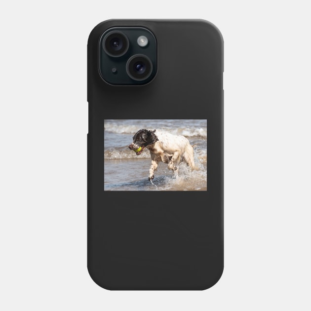 English Springer Phone Case by Robert john