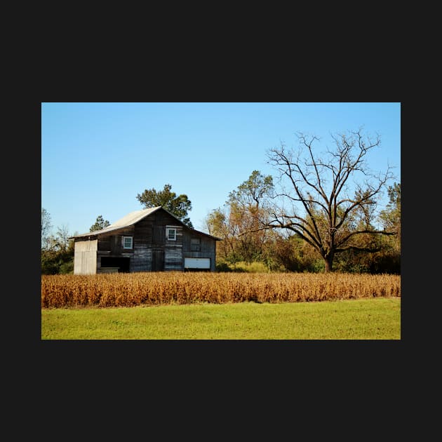 Barn Landscape by Cynthia48