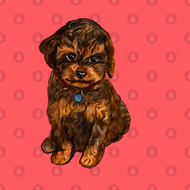 Cavapoochon Cavapoo Cavoodle  black and tan- cute cavalier King Charles spaniel Bichon frise by Artonmytee