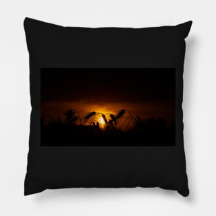 Harvest sunset Pillow