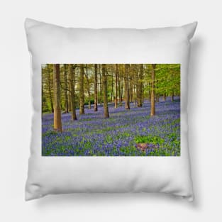 Bluebells Bluebell Woods Greys Court Oxfordshire UK Pillow