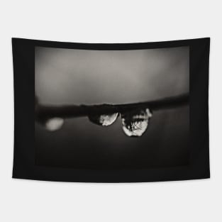 Raindrop reflection Tapestry