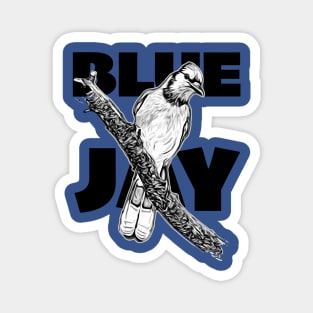 BlueJay Magnet