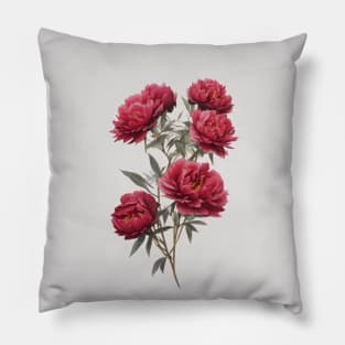 Pink peony flowers Pillow