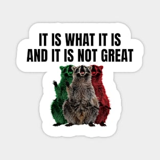 It Is What It Is And It Is Not Great Magnet