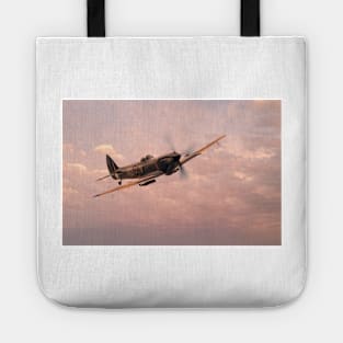 Spitfire TE311 (Mk LF XVIE) Tote