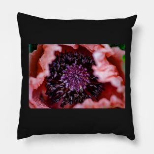 Oriental Poppy Pillow