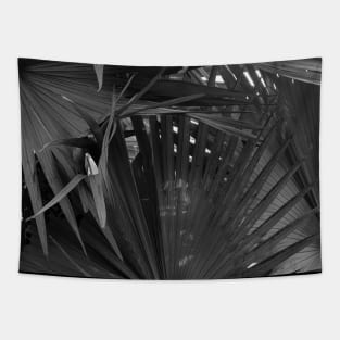 Noir Palm tree - black and white - nature photography Tapestry