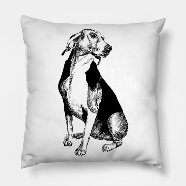 beagle Pillow by VicaVeresk