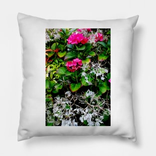 Hydrangea, Last Fling Pillow