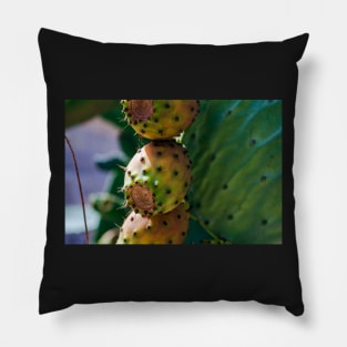 Close up to the orange fruits of Opuntia ficus-indica (prickly pear) Pillow