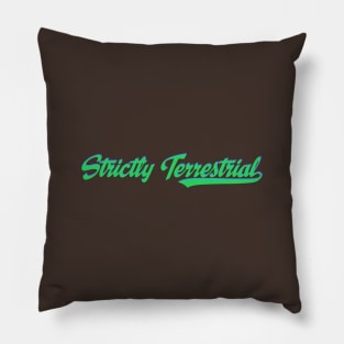 Strictly Terrestrial Pillow