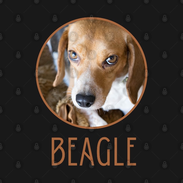 Beagle Dog by Success shopping