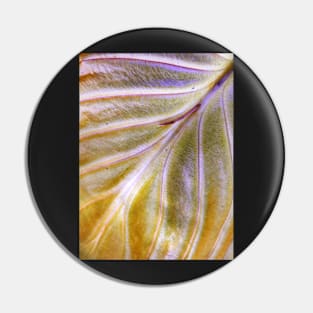 Hosta leaf ~ end of season Pin