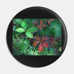 The Forest Floor Pin