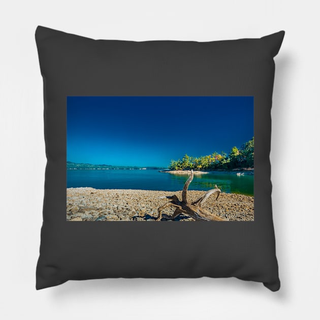 Nantahala National Forest Pillow by Gestalt Imagery