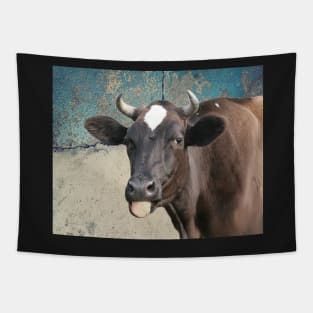 Cow Print Funny Cows Tongue Distressed Farm Gift for Cow Lovers Tapestry