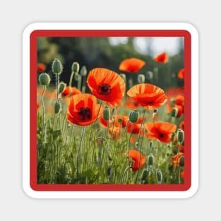 Red Poppy Garden Floral Landscape Magnet