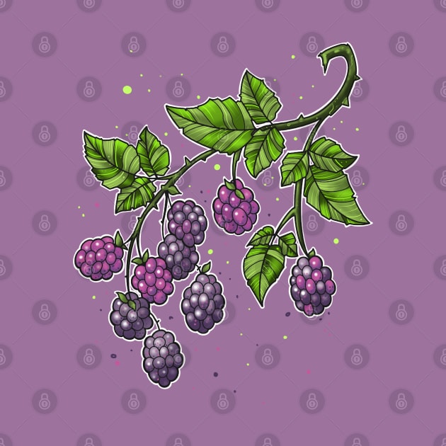 blackberries on twig by weilertsen