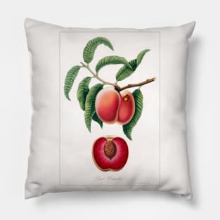 Carrot Peach Pillow