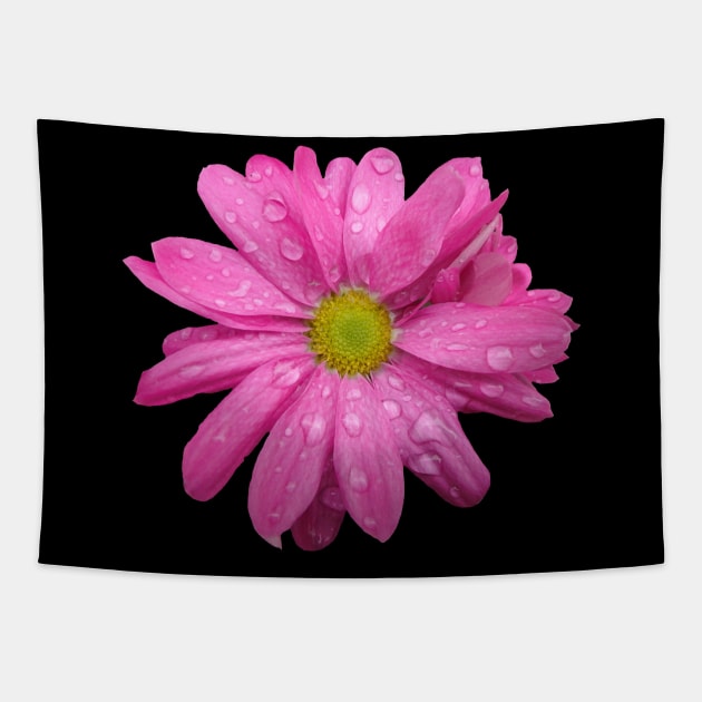 pink flower, blooms, flowers, nature, garden Tapestry by rh_naturestyles