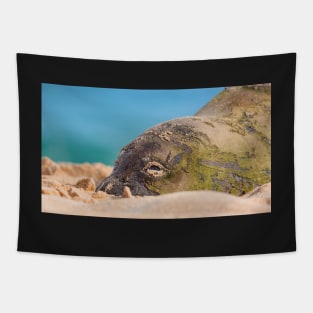 Hawaiian Monk Seal Tapestry